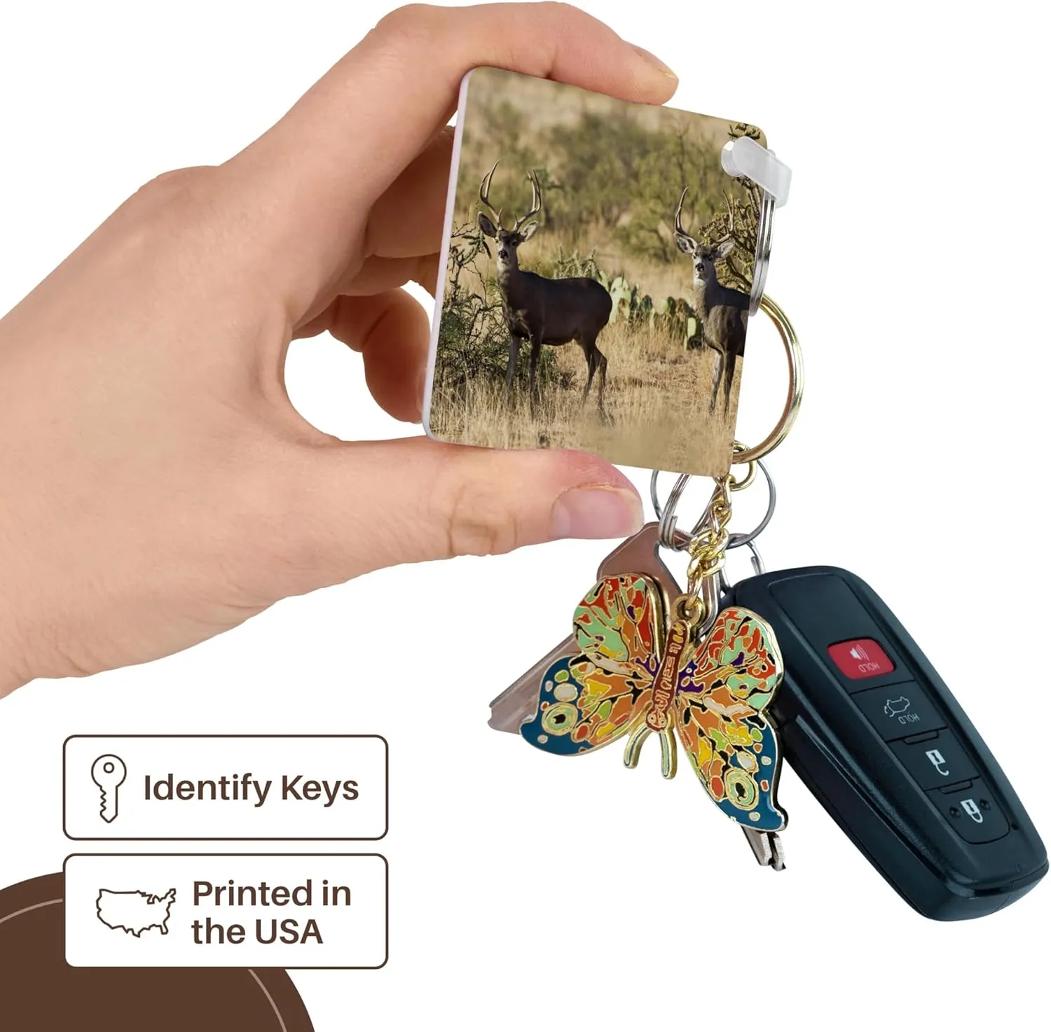 3dRose, Desert Mule Deer buck in desert mountain habitat - US44 LDI0995 - Larry Ditto, Key Chain