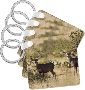 3dRose, Desert Mule Deer buck in desert mountain habitat - US44 LDI0995 - Larry Ditto, Key Chain