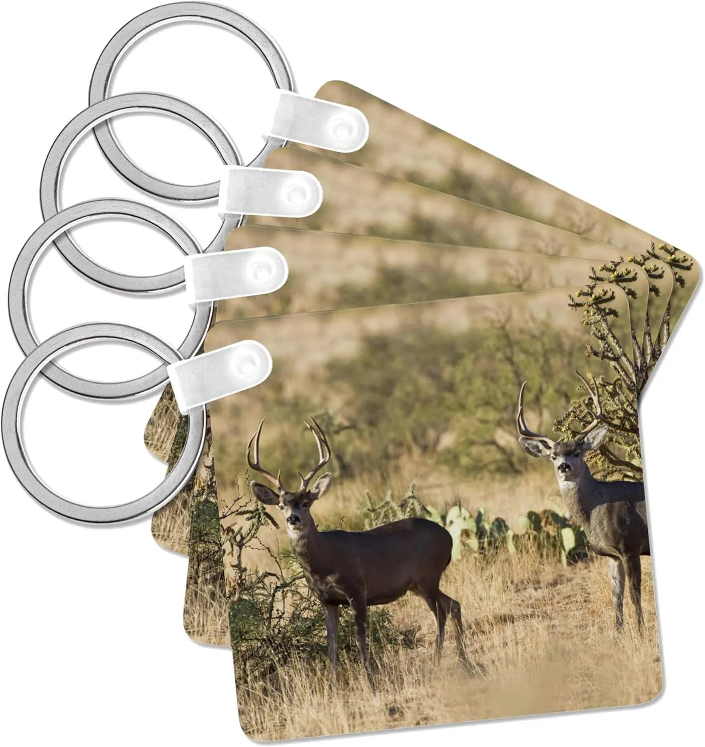 3dRose, Desert Mule Deer buck in desert mountain habitat - US44 LDI0995 - Larry Ditto, Key Chain