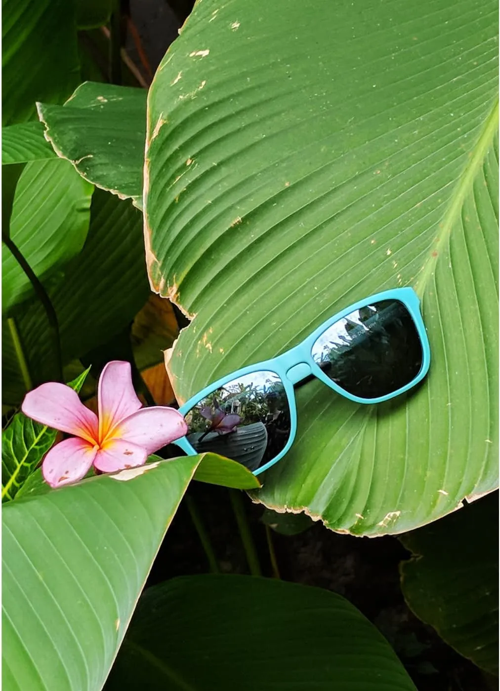 Distil Union Folly MagLock Seafarer Polarized Sunglasses | Lightweight, Flexible and Secure