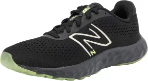 New Balance Men's 520 V8 Running Shoe
